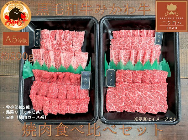 【ふるさと納税】黒毛和牛みかわ牛A5等級　食べくらべ焼肉セット　たっぷり1kg（希少部位2種：霜降り、赤身）