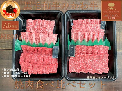 黒毛和牛みかわ牛A5等級　食べくらべ焼肉セット　たっぷり1kg（希少部位2種：霜降り、赤身）