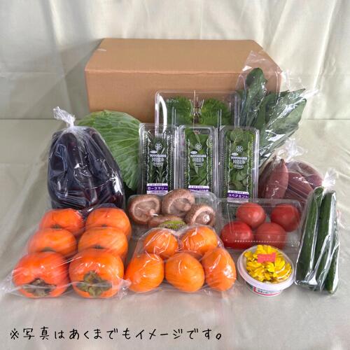 青果市場の野菜ソムリエ厳選『豊橋の旬の野菜・果物セット（8～12品）』