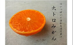 【ふるさと納税】大トロみかん『木熟せとか』黒の化粧箱　厳選プレミアム　1.4kg 画像2