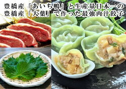 【ふるさと納税】最強肉汁味くらべ『とよはし最強肉汁餃子』と『あいち鴨の最強肉汁餃子の肉汁餃子』（各1箱セット） 画像2