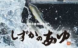 【ふるさと納税】豊橋の新鮮な地下水の流れの中で健康に育てた『しずかのあゆ』冷凍10尾セット