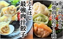 【ふるさと納税】最強肉汁味くらべ『とよはし最強肉汁餃子』と『東三河の恵み最強肉汁餃子3種』（各1箱セット）