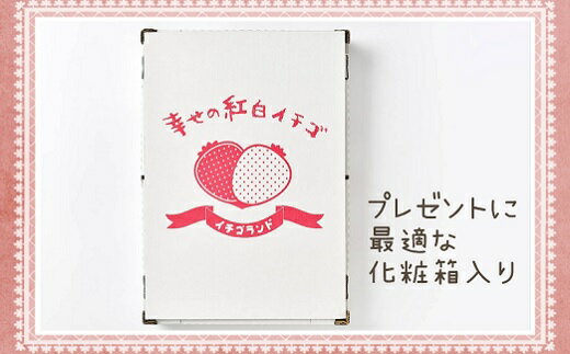 【ふるさと納税】お祝いに贈り物に『幸せの紅白いちご』（赤・白シート入り各約300g　計約600g）