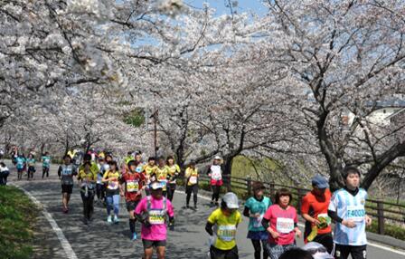 【ふるさと納税】鈴木亜由子杯 穂の国・豊橋ハーフマラソン2027 エントリー権 マラソン 体験
