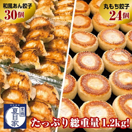 夏目家の『和風あん餃子』30個と『丸もち餃子』24個の食べくらべセット