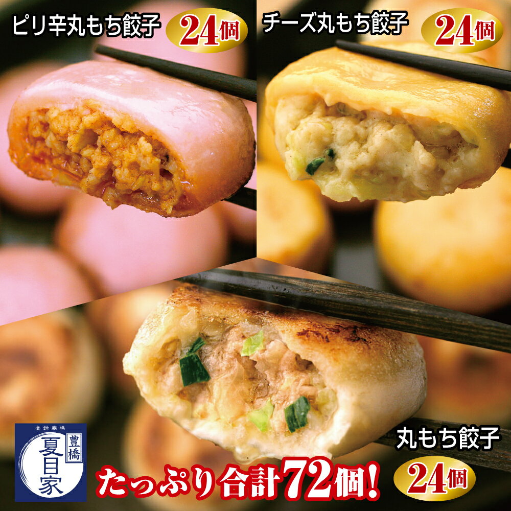 【ふるさと納税】夏目家 『丸もち 餃子 3種比べ （ピリ辛、チーズ、プレーン）』 （各24個×1袋 計3袋 72個） 惣菜 おかずぎょうざ もち丸 愛知県 豊橋市のサムネイル