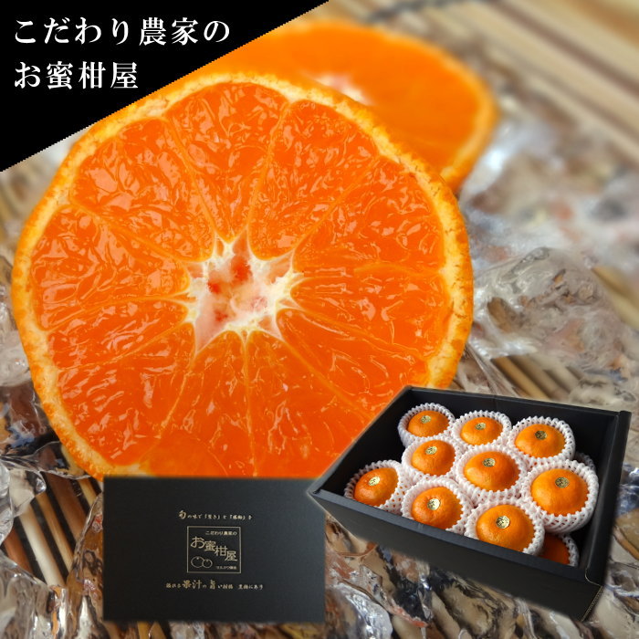 濃厚ハウスみかん『蜜ツ星』黒の化粧箱（大）　秀品2kg入（Lサイズ18玉）