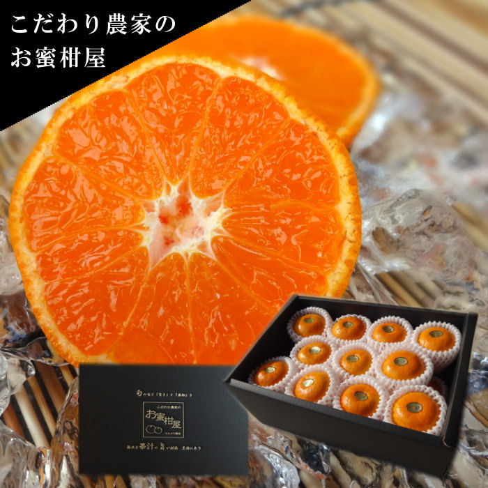 超濃厚 ハウスみかん『蜜ツ星』 秀品 2kg みかん 高級 高糖度 ギフト 贅沢 蜜柑 ミカン 柑橘 フルーツ 数量限定 季節限定 濃厚 化粧箱入り Mサイズ 21玉 詰め合わせ 豊橋 20000円