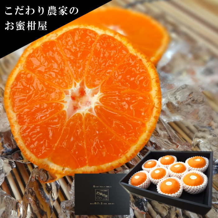 濃厚ハウスみかん『蜜ツ星』黒の化粧箱（小）　秀品800g入（Mサイズ8玉）