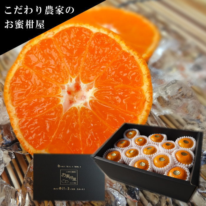 【ふるさと納税】超濃厚 ハウスみかん『蜜ツ星』 秀品 2kg