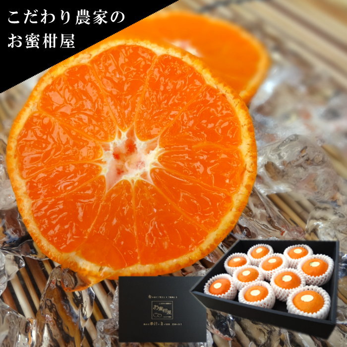 濃厚ハウスみかん『蜜ツ星』黒の化粧箱（小）　秀品800g入（Sサイズ10玉）