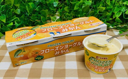 国産みかん100％使用！中央製乳の「フローズンヨーグルトみかん」（95ml×30個）