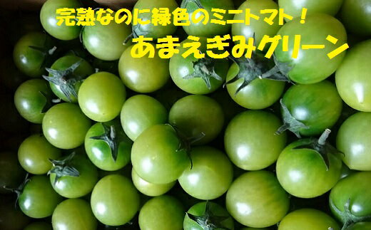 【ふるさと納税】農業王国豊橋の『フルーツトマト　あまえぎみグリーン』1kgバラ