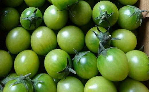 商品説明 名称 農業王国豊橋の『フルーツトマト　あまえぎみグリーン』1kgバラ 原材料名 あまえぎみグリーン 内容量 ●フルーツトマト　あまえぎみグリーン　バラ1kg　1箱 ミニトマトの一大産地、豊橋市が誇るカラー系ミニトマト『あまえぎみ』のグリーンをたっぷり1kgお届けします。 トマト栽培が盛んな豊橋市を代表する人気のブランドトマト『あまえぎみ』は、プチっとした歯ごたえ、ジューシーで爽やかな口当たり、糖度の高いフルーツのようなトマトです。 「あまえぎみグリーン」は完熟なのに緑色のミニトマト。 皮はやや硬めですが糖度は高く、少し日を置いていただくと美味しさが増してきます。 グリーンサラダにもトマトが入ればグッとゴージャス！ ＜豊橋ブランド ミニトマト【あまえぎみ】＞ 味わいの違いを楽しめる「あまえぎみ」は、色によってフルーツのような甘味のあるものや爽やかな酸味のあるものなど風味や食感、味が異なります。 クレア（イエロー）：プラム型のイエローミニトマト。爽やかな口当たりとしっかりした甘さが特徴の新感覚なトマトです。 クレアレッド：楕円のようなプラム型の赤いミニトマト。甘みとほどよい酸味が特徴です。 クレアオレンジ：しっかりとした甘さとコク、それでいて口当たりは爽やか。皮もやわらかくてパンチのあるミニトマトです。 賞味期限 ●涼しい場所に保管しお早めにお召がりください。 保存方法 常温 製造者 （有）しもさわ　（愛知県豊橋市雲谷町字外谷295－7） 事業者 （有）しもさわ　（愛知県豊橋市雲谷町字外谷295－7） 豊橋のトマト栽培は100年以上の歴史があり、冬でも温暖で日当たりが良く気候に恵まれていることから、温室栽培が盛んに行われ冬春を中心に出荷されています。また、最先端の技術を駆使して栽培されており、種類や色・甘みや酸味のバリエーションが豊富です。 青果のプロが自ら選んだ、新鮮な品をお届けします。 備考 アレルギー成分／対象となるアレルギー品目はありません 配送方法／常温便 受付締切：2024年5月31日 ※お申込み期日内にご入金をお願いいたします。 ※成育の状況によりお届けまでお時間をいただく場合もございます。 ※お申込みの状況により受付締切日を早めさせていただく場合もございますがご了承ください。 お届期間：2024年5月末までを予定しています。 ※お届け期間は生育状況により多少の変動があります。 ・ふるさと納税よくある質問はこちら ・寄付申込みのキャンセル、返礼品の変更・返品はできません。あらかじめご了承ください。「ふるさと納税」寄付金は、下記の事業を推進する資金として活用してまいります。 寄付を希望される皆さまの想いでお選びください。 =================================================== 寄付金の用途 1,【返礼品なし】豊橋市新型コロナウイルス感染症対策応援寄付 いただいた寄付金は、設置予定の「新型コロナウイルス感染症対策基金」を通して、感染症防止や市民生活と地域経済に対 する 支援の充実に活用させていただきます。 2, 交流・産業振興に関する事業 国際交流、多文化共生のための事業や、産業の振興と観光資源を活かしたまちづくりに役立てます。 3, 健康・福祉に関する事業 子育て支援や健康なまちづくりの推進、福祉の充実に役立てます。 4, 教育・文化に関する事業 学校教育の充実や文化的活動の支援、スポーツの振興等に役立てます。 5, 水と緑の環境・快適な暮らしの基盤づくりに関する事業 緑豊かなまちづくりや自然環境の保全等に役立てます。 6, 安全で住みよい生活づくりに関する事業 交通安全・防犯に関する事業など、安心して生活をおくるための事業に役立てます。 7, 動物いきいき！元気なのんほいパーク応援事業 豊橋総合動植物公園のんほいパークではホッキョクグマをはじめとする様々な動物が生活しています。 8, 夢の実現に向けて頑張る学生を後押し！豊橋市未来応援奨学金事業 豊橋市では平成29年度より、経済的な理由により進学が困難な状況でありながらも、自分の得意分野をさらに伸ばすよ う大 学等に進学 する学生に、奨学金を給付しています。 夢の実現に向けて頑張る学生の後押しをするための奨学金の給付に役立てます 。 9, たくましく生きる「くすのきっ子」の育成！特別支援教育推進事業 豊橋市立くすのき特別支援学校は、豊橋市で初めての市立特別支援学校として平成27年4月に開校しました。 子どもたち一人ひとりの個性と可能性を引き出し、たくましく生きることのできる人間の育成を目指しています。 農業が盛んな地域性を活かした本市ならではの教育活動として生徒たちが地域と協働で行う農業実習活動に必要な苗代や肥料代のほか、メ ダカ飼育に必要なエサ代などに役立てます。 10, その他目的達成のために必要な事業 上記のメニュー以外の事業に役立てて欲しい、または使途を市長へ一任する場合にご選択ください。 =================================================== 入金確認後、注文内容確認画面の【注文者情報】に記載の住所にお送りいたします。 発送の時期は、寄付確認後14日以内をを目途に、お礼の特産品とは別にお送りいたします。