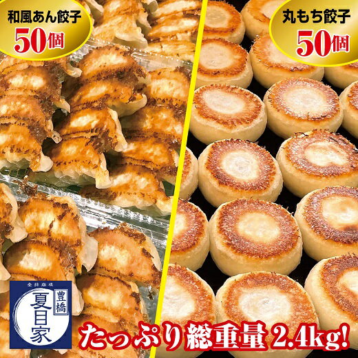 【ふるさと納税】夏目家 餃子 2種食べ比べ 100個 和風あん餃子 50個 丸もち餃子 50個 中華 惣菜 簡単調理 お楽しみ 豊橋市 送料無料