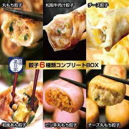 【ふるさと納税】夏目家コンプリートBOX『特製餃子6種フルラインナップ』（和風あん餃子、チーズ餃子、松阪牛肉汁餃子、丸もち餃子、ピリ辛丸もち餃子、チーズ丸もち餃子）