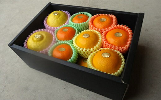 【ふるさと納税】お蜜柑屋店長厳選「旬の柑橘詰め合わせ」2.3kg