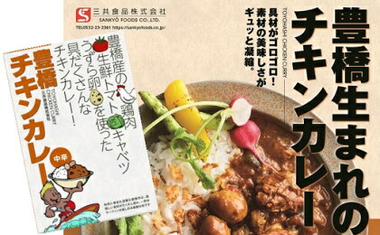 豊橋産の食材を詰め込んだ『豊橋チキンカレー』（10個セット）