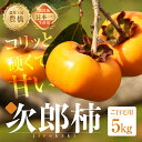 【ふるさと納税】≪先行予約≫ 生産量日本一 豊橋石巻産 次郎柿 ご自宅用 5kg 柿 訳あり 不揃い (15〜25個) 甘柿 果物 フルーツ ワケアリ 訳アリ ...