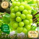 【ふるさと納税】≪先行予約≫たっぷり1.2kg 豊橋産 皮ごと 種なし シャインマスカット300g×4 ブドウ ぶどう マスカット フルーツ 甘い 1.2キロ ...
