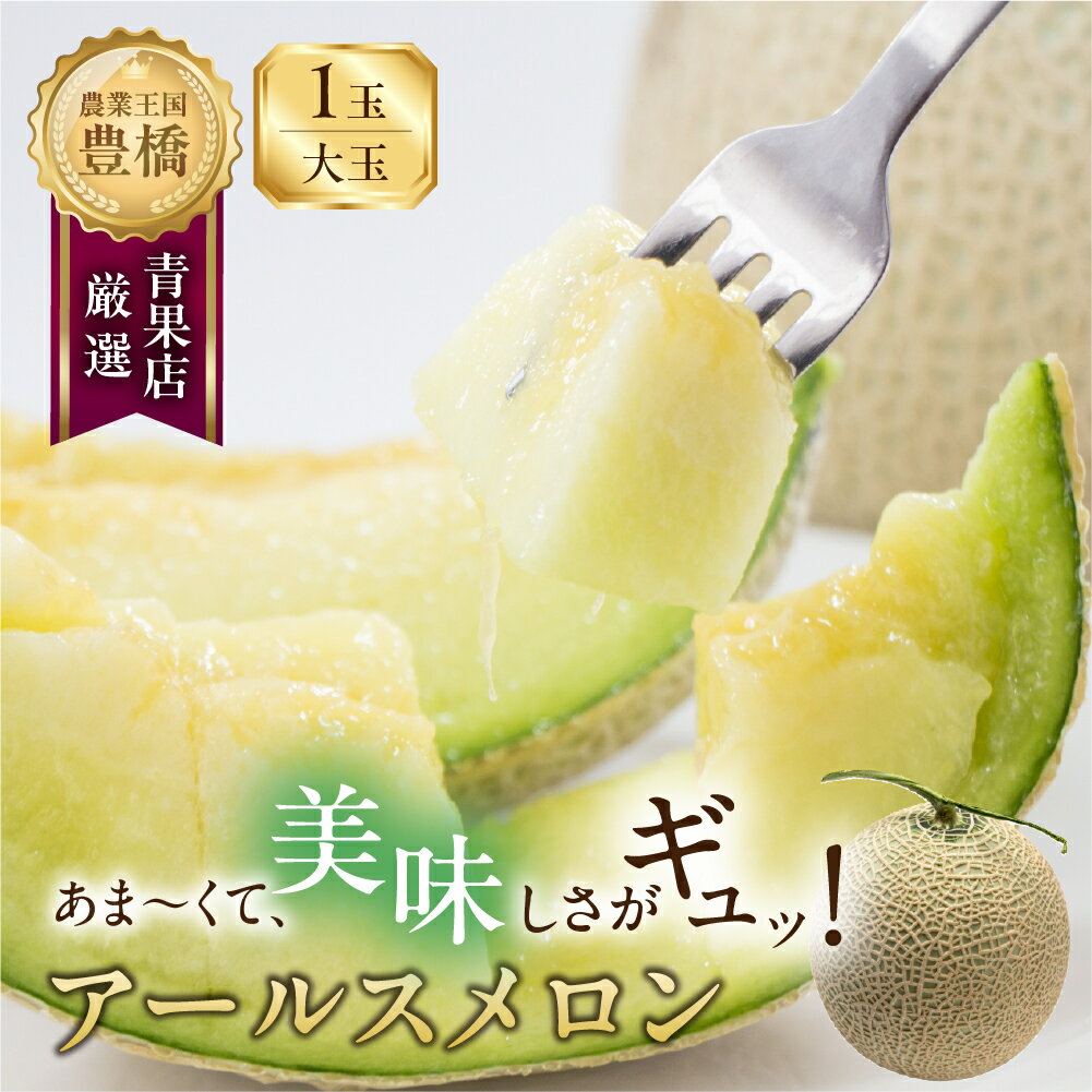 ≪先行予約≫ あまーい メロン 豊橋 城下地区の 『アールスメロン 大玉』 1玉 7月 8月 くだもの マスクメロン 果物 甘い フルーツ 大玉 大きい めろん 果実 旬 旬のフルーツ 愛知県 豊橋市 10000円 1万円