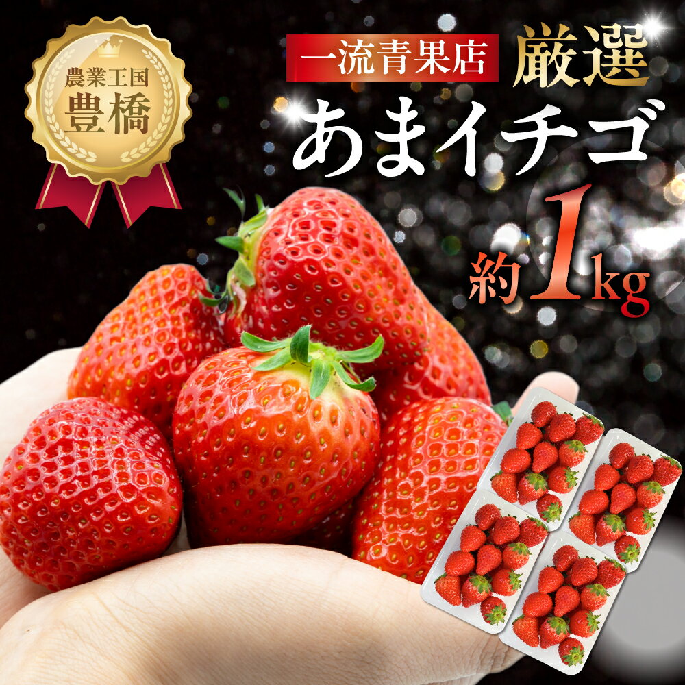 ≪先行予約≫ 厳選 あまイチゴ 約1kg パックいちご いちご イチゴ 苺 甘い 高糖度 糖度 フルーツ 果物 旬 旬の果物 旬のフルーツ おやつ ビタミン いちご狩り イチゴジャム 紅ほっぺ または あきひめ 愛知県 豊橋市 1万円 10000