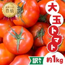 【ふるさと納税】≪先行予約≫ 訳ありトマト 約1kg とまと トマト tomato 野菜 甘み サンドイッチ サラダ 訳あり 訳アリ わけあり ワケアリ 規格外 旬 旬の野菜 健康 愛知県 豊橋市