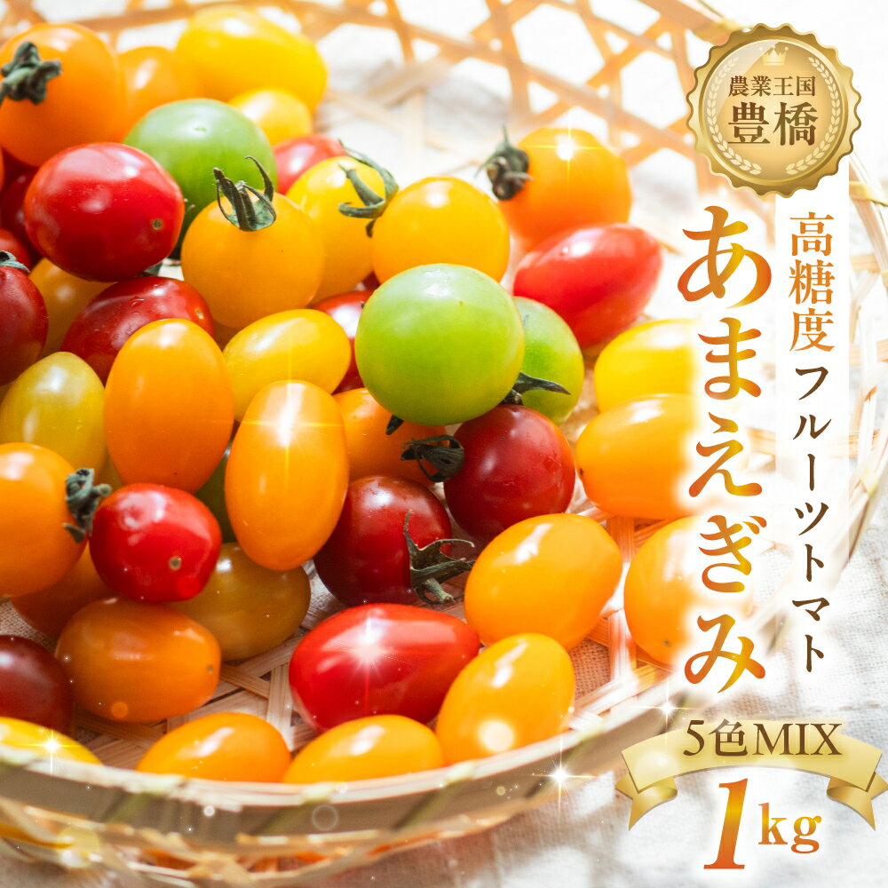 【ふるさと納税】あまえぎみ クレア5色 フルーツトマト 1キ