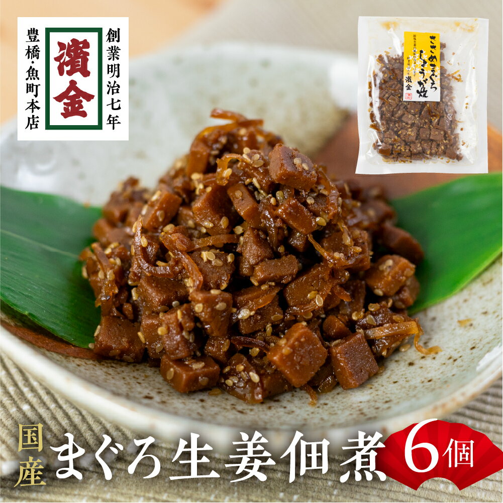 濱金商店 ささめまぐろ佃煮 6個セット 生姜炊 ショウガ マグロ つくだ煮 おかず ふりかけ ご飯のお供 詰め合わせ 小分け ギフト 贈答 プレゼント お中元 お歳暮 惣菜 愛知県 豊橋市 12000円