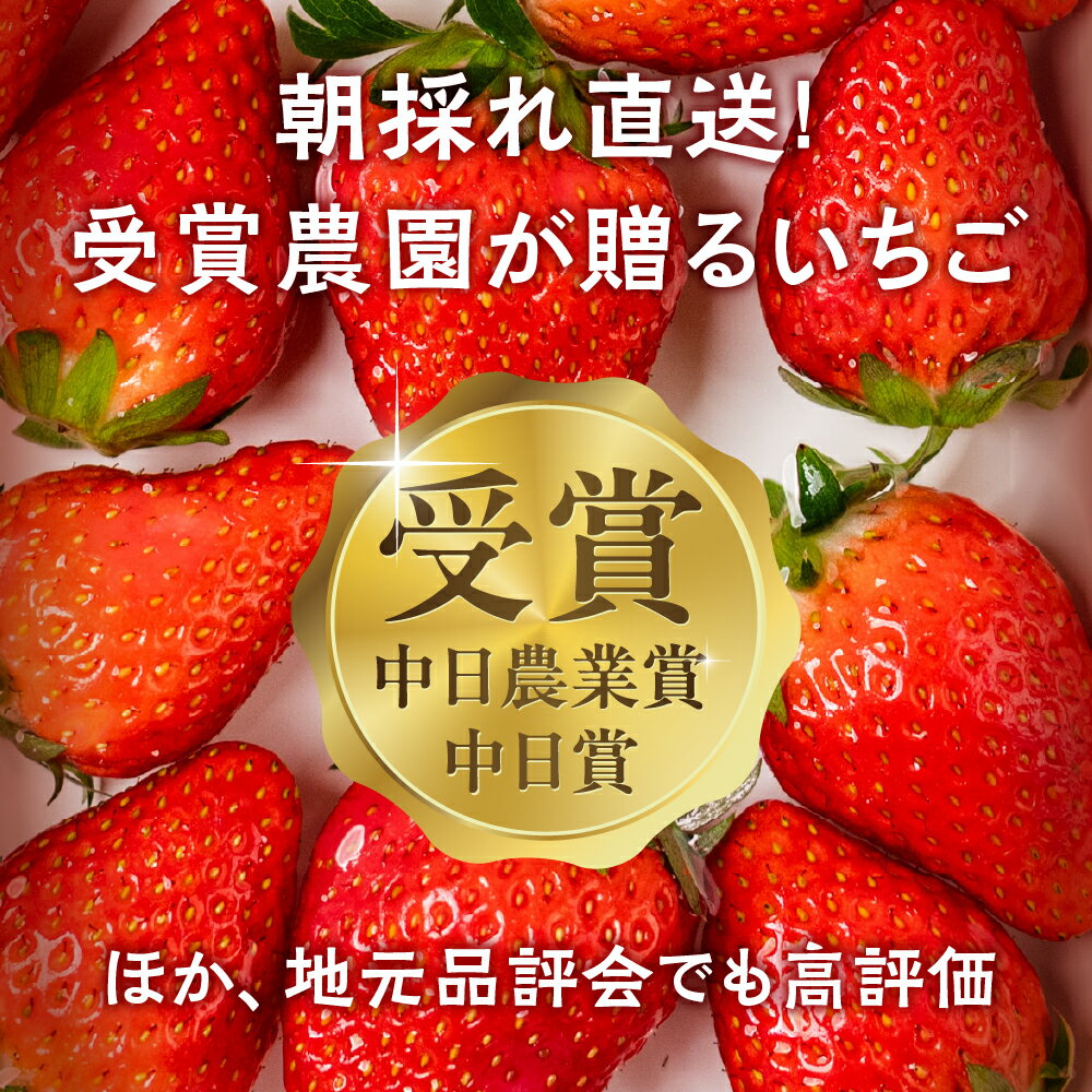 【ふるさと納税】≪先行予約！≫ 章姫 訳ありいちご 計1kg ( 約250g × 4 ) いちご イチゴ 苺 フルーツ 旬 果物 採れたて 10000円 1万円 ショートケーキ フルーツサンド にも スイーツ 産地直送 完熟 国産 冷蔵 愛知県 豊橋市 豊橋 わけあり 規格外