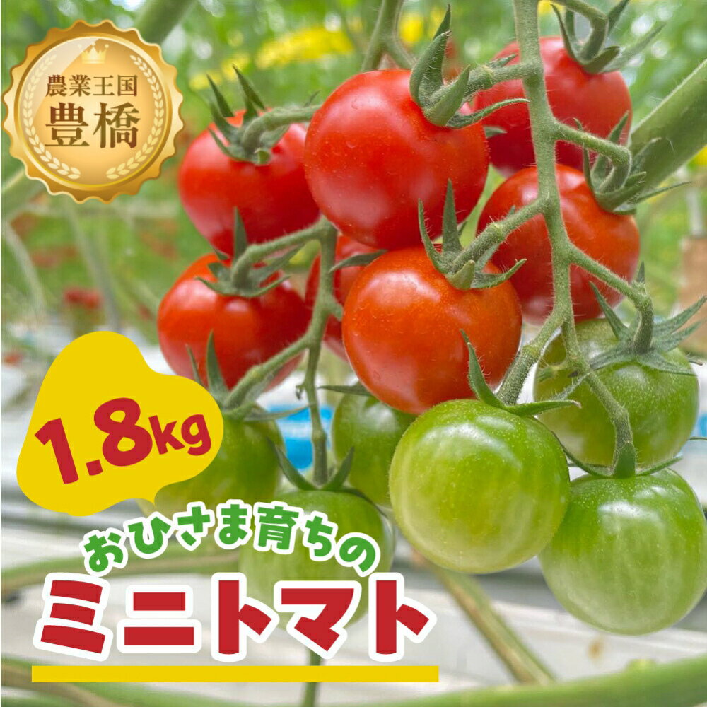 【ふるさと納税】おひさま育ちのミニトマト　1.8kg　野菜 やさい 愛知県 豊橋市のサムネイル