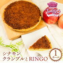 【ふるさと納税】アップルパイ シナモンクランブル ( ホール 1枚)冷凍 りんご アップルパイ シナモン スイーツ デザート 甘い 人気 豊橋市 果物 シナモン アップル リンゴ パイ 焼き菓子 ギフト 贈り物 ケーキ おやつ シナモン 14000円 一万四千円(4)