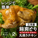 【ふるさと納税】錦爽どり 丸焼きチキン(1/2羽 × 2セット)冷凍 鶏肉 鶏 スパイス 豊橋市 肉 ジューシー おいしい セット ホームパーティー クリスマス ハーフ 13000円 1万3千円