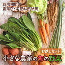 【ふるさと納税】旬の野菜セット お試し 野菜 野菜詰め合わせ おまかせ 新鮮 旬の野菜 愛知県 豊橋市 送料無料 5000円