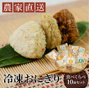 【ふるさと納税】冷凍おにぎり10個セット 和風 洋風 ウナギ 冷凍食品 ごはん ご飯 オニギリ 冷凍保存 愛知県 豊橋市 送料無料 12000円
