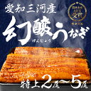 【ふるさと納税】愛知県三河産 幻醸うなぎ 蒲焼き 2尾~5尾 選べる 国産うなぎ 鰻 タレ付 セット 厳選 ウナギ かば焼き 丑の日 高級 贅沢 ご褒美 特産品 ふっくら お取り寄せ うな重 うな丼 ひつまぶし 冷凍 内祝い お中元 お歳暮 愛知県 豊橋市 丑の日 土用の丑の日