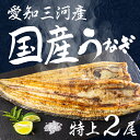 【ふるさと納税】愛知県三河産 うなぎ 白焼き 2尾 国産うなぎ 鰻 タレ付 セット 厳選 ウナギ かば焼き 丑の日 高級 贅沢 ご褒美 特産品 ふっくら お取り寄せ うな重 うな丼 ひつまぶし 冷凍 誕生日 お祝い 内祝い お中元 お歳暮 愛知県 豊橋市