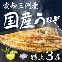 【ふるさと納税】愛知県三河産 うなぎ 白焼き 3尾 国産うなぎ 鰻 タレ付 セット 厳選 ウナギ かば焼き 丑の日 高級 贅沢 ご褒美 特産品 ふっくら お取り寄せ うな重 うな丼 ひつまぶし 冷凍 誕生日 お祝い 内祝い お中元 お歳暮 愛知県 豊橋市
