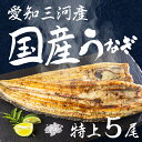 【ふるさと納税】愛知県三河産 うなぎ 白焼き 5尾 国産うなぎ 鰻 タレ付 セット 厳選 ウナギ かば焼き 丑の日 高級 贅沢 ご褒美 特産品 ふっくら お取り寄せ うな重 うな丼 ひつまぶし 冷凍 誕生日 お祝い 内祝い お中元 お歳暮 愛知県 豊橋市