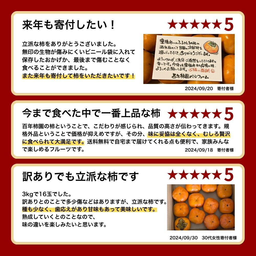 愛知県豊橋市の画像3