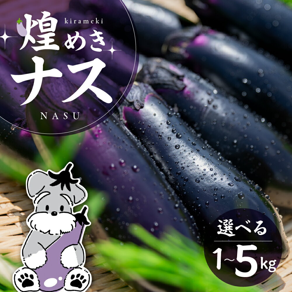 煌めきナス 1kg 〜 5kg