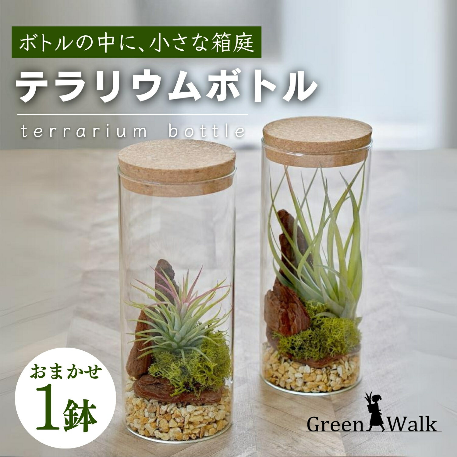 ハイドロカルチャー 観葉植物 テラリウムボトルM 鉢植え 土無し インテリア 緑 グリーン 植物 簡単 初心者 かわいい 自然 おしゃれ 送料無料 Green Walk グリーンウォーク 愛知県 豊橋市