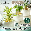 【ふるさと納税】ハイドロカルチャー バルーン & シリンダー 陶器鉢 ゼオライト植え 3鉢セット 土無し インテリア 緑 グリーン 植物 簡単 初心者 かわいい 自然 おしゃれ 送料無料 Green Walk グリーンウォーク 愛知県 豊橋市