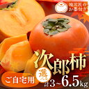 【ふるさと納税】≪先行予約≫ 生産量日本一 豊橋石巻産 次郎柿 ご自宅用 ≪選べる3~6.5kg≫ 柿 訳あり 甘柿 果物 フルーツ 10月 11月 愛知県 豊橋市 ビタミンC 腸活