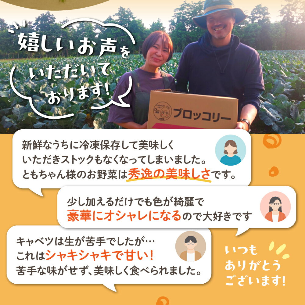 【ふるさと納税】旬のキャベツ 【選べる玉数】2玉 6玉 12玉 | 1回お届け 定期便 ミネラルたっぷり 海風そだち 潮風 豊橋 国産 家族で 大容量 ともちゃんのやさい 大人気！ 愛知県 豊橋市 安心野菜 キャベツ 冬キャベツ 春キャベツ 初夏キャベツ