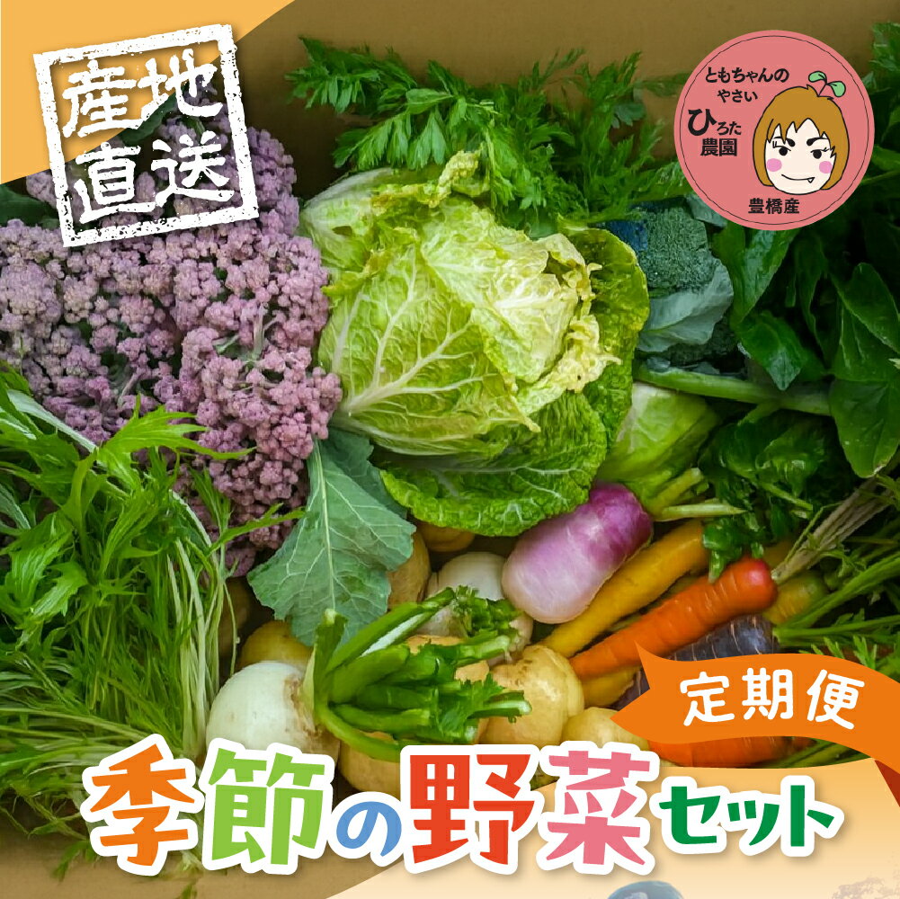 【ふるさと納税】彩り野菜セット【選べる種類数・お届け回数】3種 5種 7種 お試し 定期便 豊橋 国産 ミネラルたっぷり 海風そだち 潮風 家族で 大容量 豊橋...