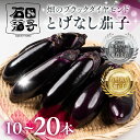 【ふるさと納税】≪TVで話題!≫とげなし茄子 選べる 10本 ~ 20本 ナス 茄子 なす なすび 野菜 旬 旬の野菜 糖度 石田茄子 トゲなし とげなし お取り寄せ 健康 夕飯 おかず 愛知県 豊橋市 1万円 10000円