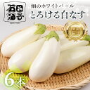 【ふるさと納税】≪TVで話題!≫白茄子 6本 ナス 茄子 なす なすび 白なす しろなす 白ナス 白茄子 野菜 旬 旬の野菜 糖度 石田茄子 お取り寄せ 健康 夕飯 おかず 愛知県 豊橋市 1万円 10000円