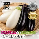 【ふるさと納税】≪TVで話題!≫こだわり茄子 食べ比べ≪とげなし茄子×白茄子≫ ナス 茄子 なす なすび 白なす しろなす 白ナス 白茄子 野菜 旬 旬の野菜 糖度 石田茄子 トゲなし とげなし セット 食べ比べセット お取り寄せ 健康 夕飯 おかず 愛知県 豊橋市 5千円 5000円